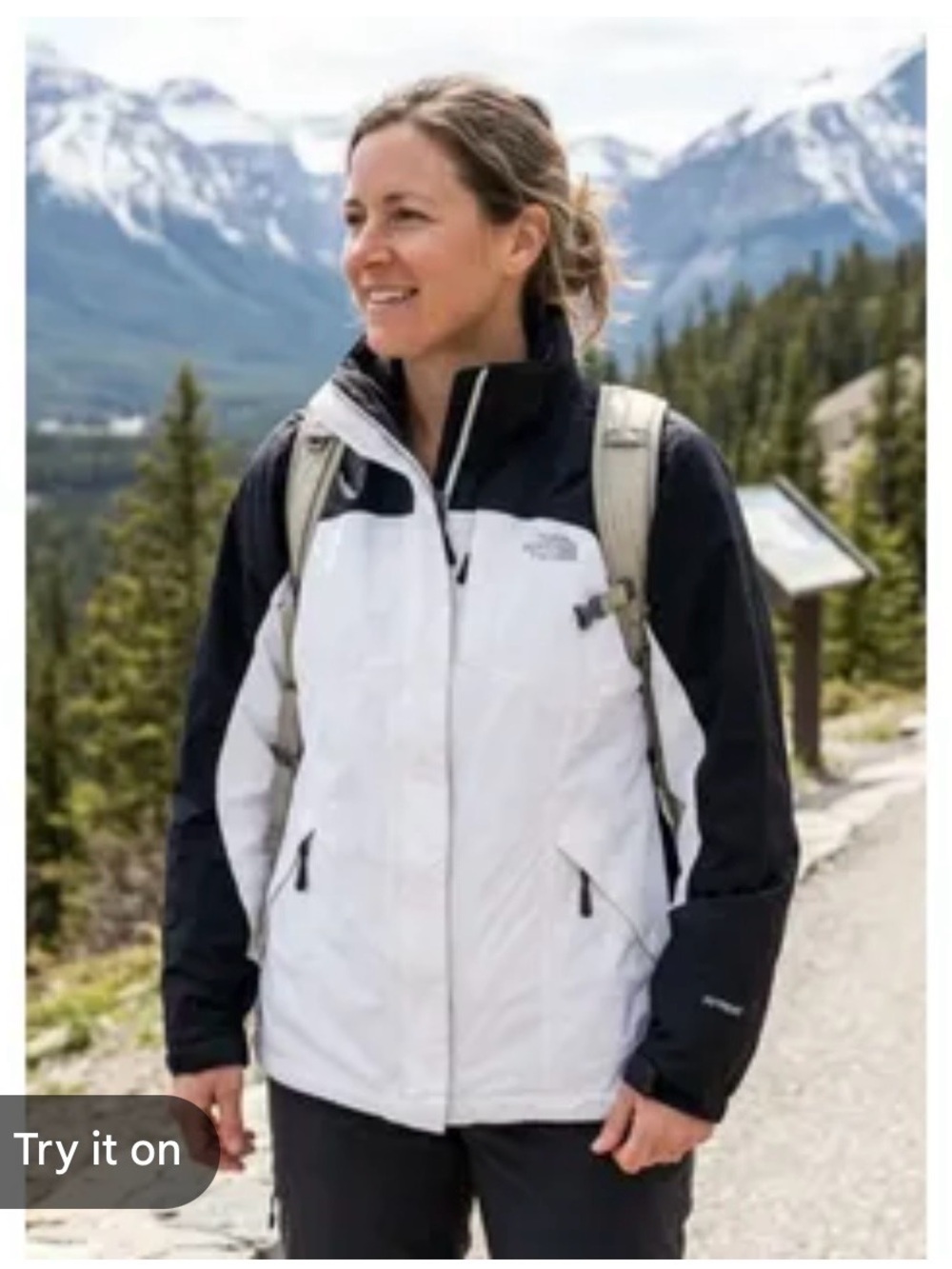 The north face jacket